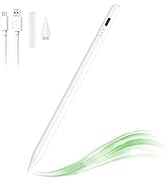 Stylus Pen for iPad with Palm Rejection, Tilt Sensitive and Magnetic Design, Digital Pencil Compa...