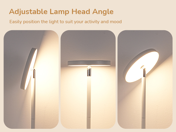 Adjustable Lamp Head Angle