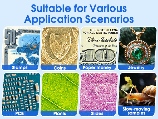 100X Pocket Handheld Digital Microscope for Kids and Adults