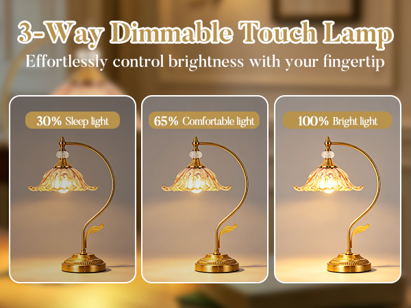 Plug in Table Lamp