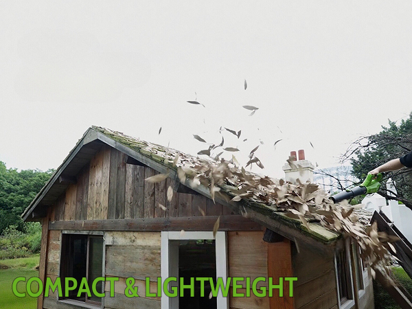 Leaf Blower Cordless