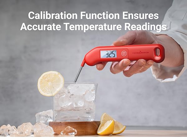 meat thermometer digital