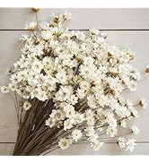 300 PCS Natural Dry Flowers Brazilian Small Star Daisy,13'' White Mini Daisy Chamomile, Dried Dai...