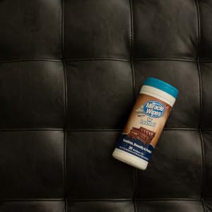 Leather couches