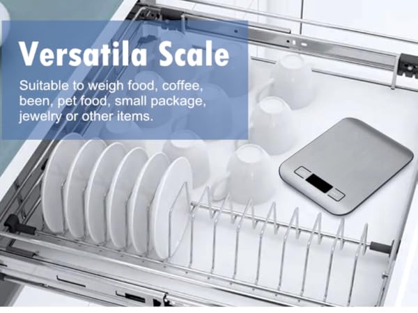 EK8840H Versatila Scale