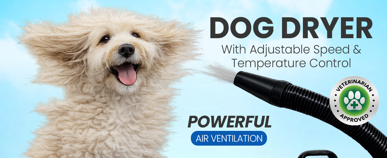 dog dryer