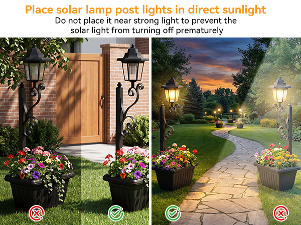solar light planter box