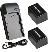 CofunKool 2-Pack of NP-FV5 Plus 3.7V 2000mAh Rechargeable Lithium Batteries and Charger
