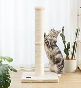 Karolpar cat scratching post beige