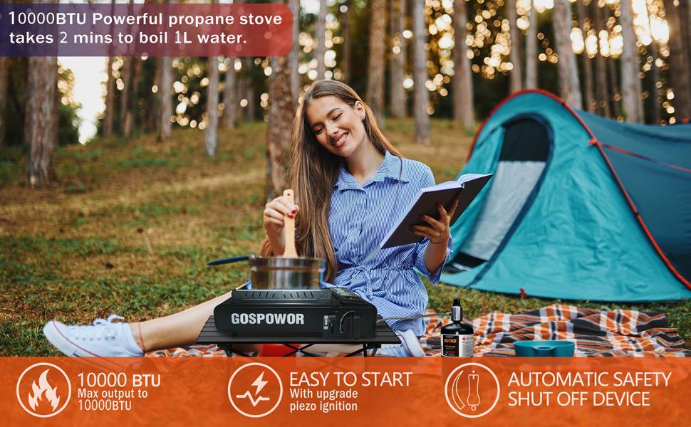 Propane or Butane Stove