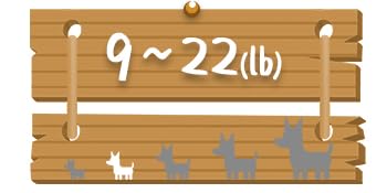 Dog Size