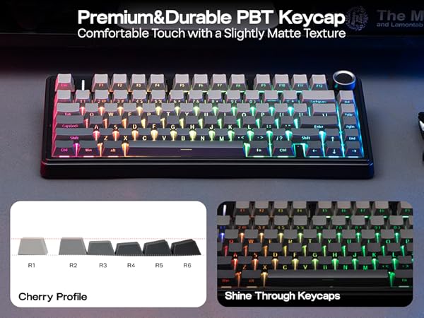 Text reads 'Premium&amp;Durable PBT Keycap', 'Comfortable Touch with a Slightly Matte Texture', 'Cherry Profile', 'Shine Through Keycaps'. Mechanical keyboard with RGB backlit keys shown from multiple angles.