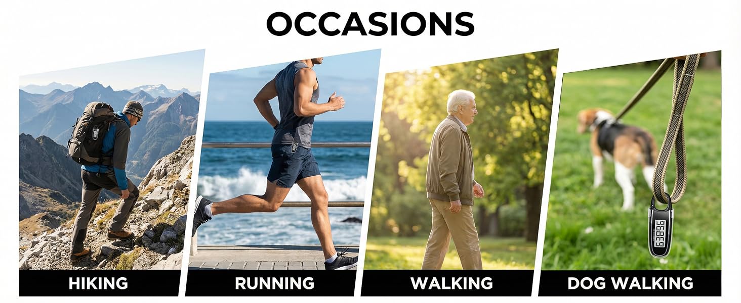 Pedometer