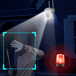 MOTION DETECTION CAMERA