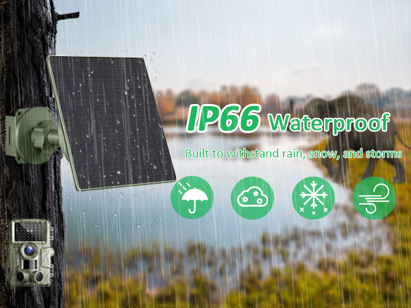 trail camera solar panel