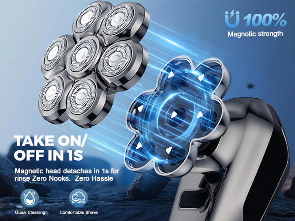 magnetic head shaver