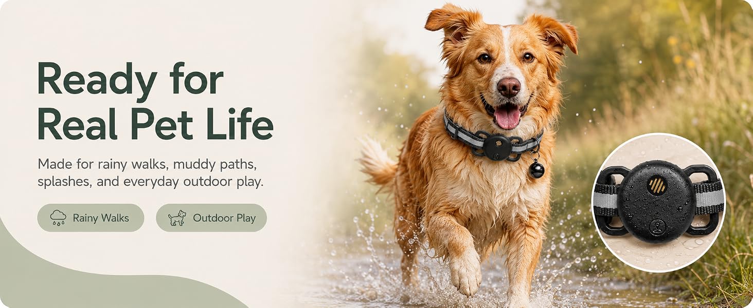 dog tracker gps