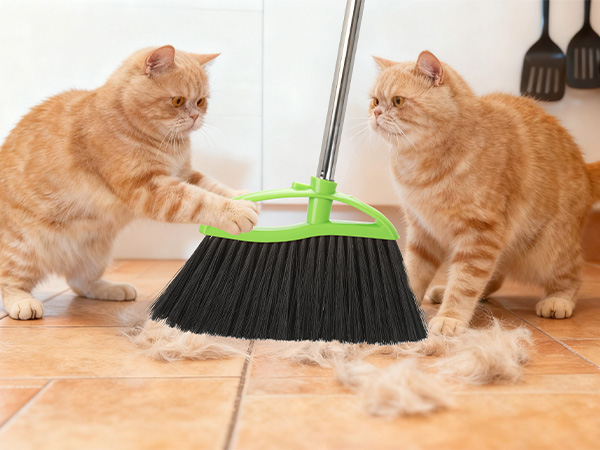 pet hair removal