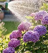 25 ft garden hose