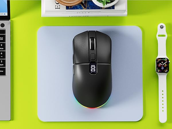 mouse