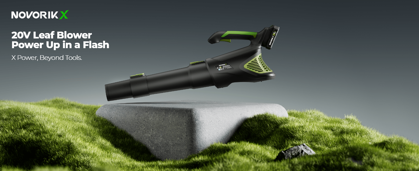 small leaf blower