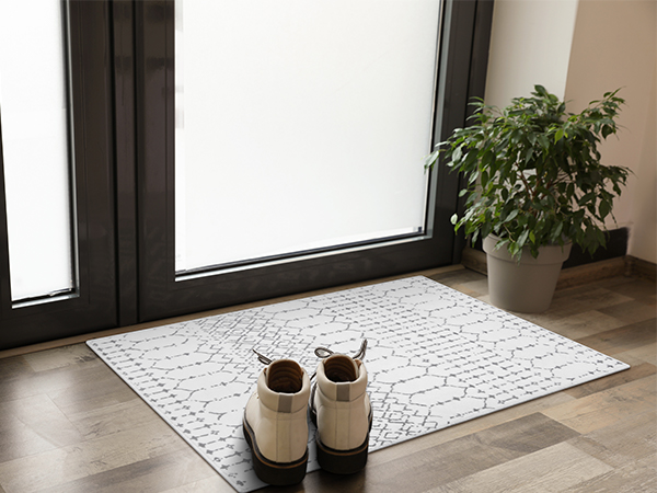 Entryway rug indoor