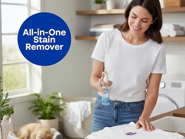 Stain Remover All in One
