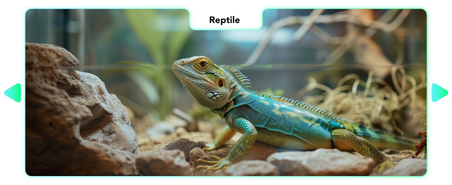 Reptile