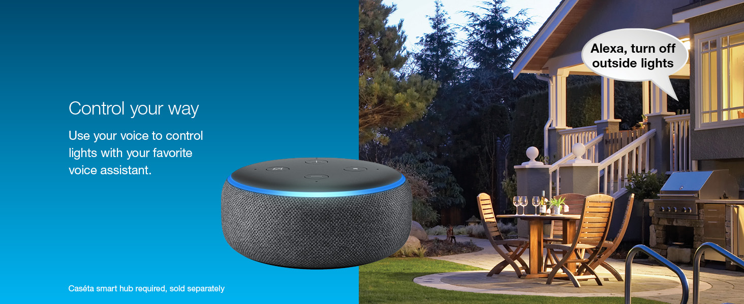 Control your lights with your voice