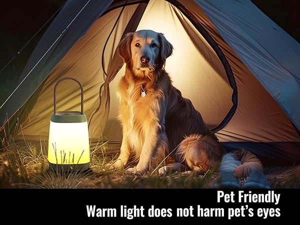 camping lantern for kids