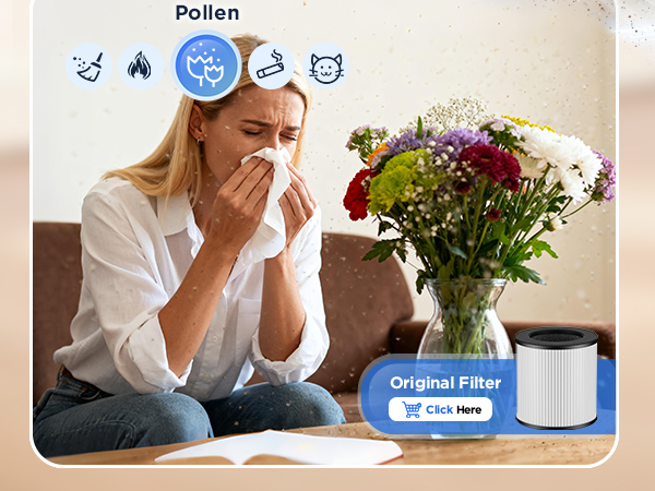 air purifier for home large room bedroom air purifiers for dorm room air cleaner