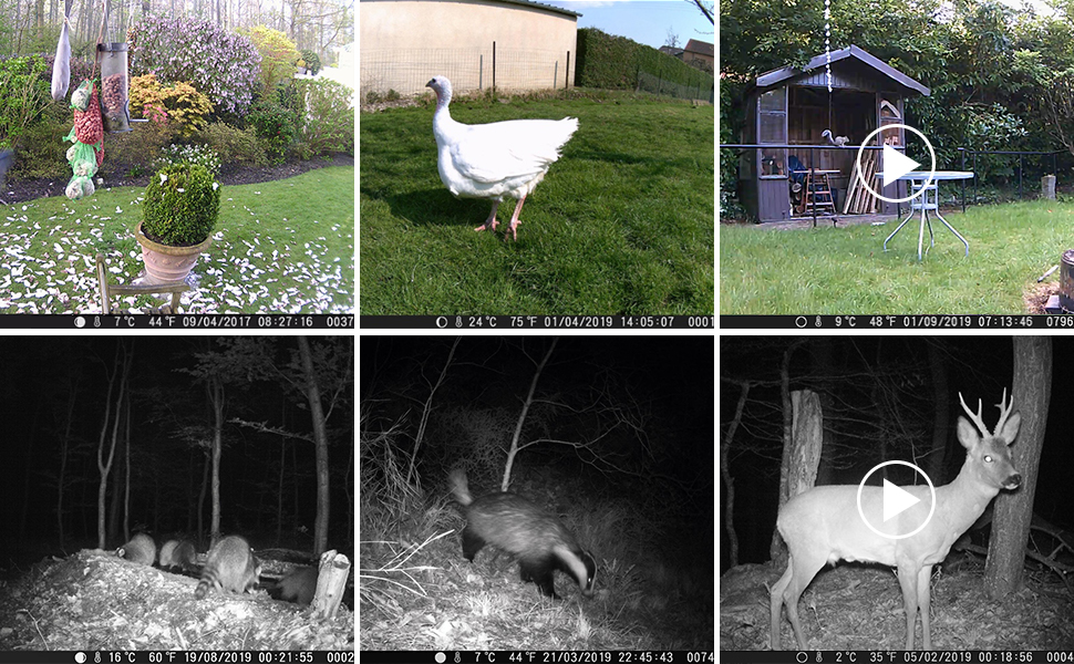 trail cameras with night vision motion activated waterproof