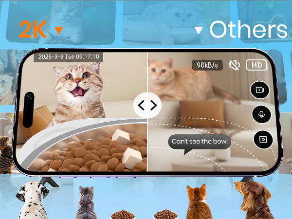 automatic cat feeder with camera