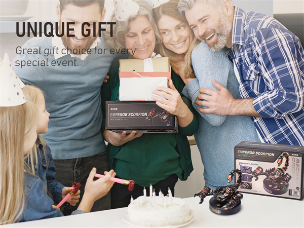 ROKR Assembly DIY Gift Plastic Craft Hobby for Men, Women, Kids, Teens