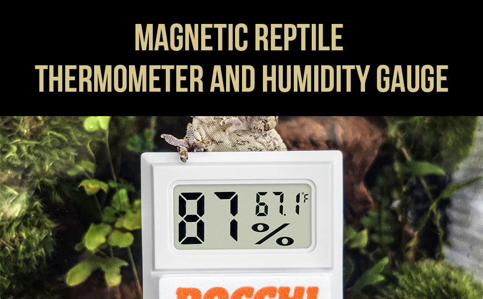 reptail thermometer