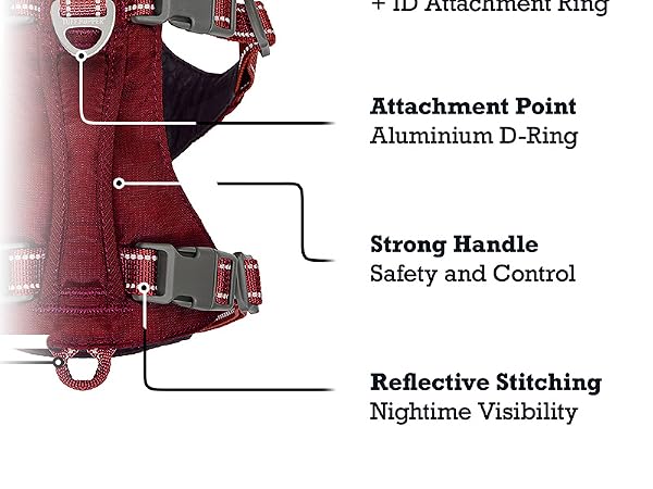 Trailblaze Harness