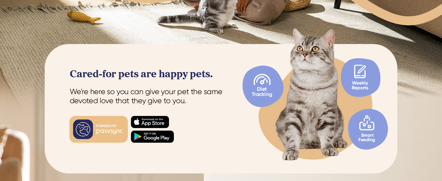 2.1_PPF-R361S-WUS_White_US_Module 2_Desktop