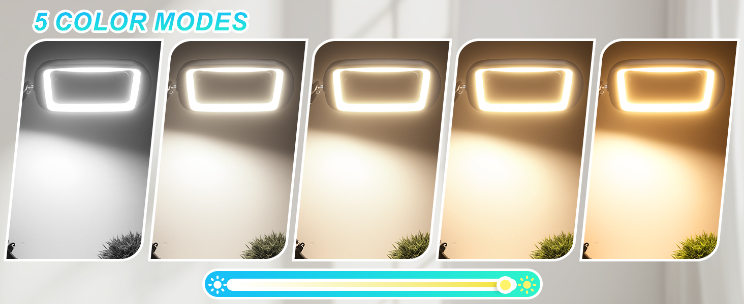 magnifier with clamp