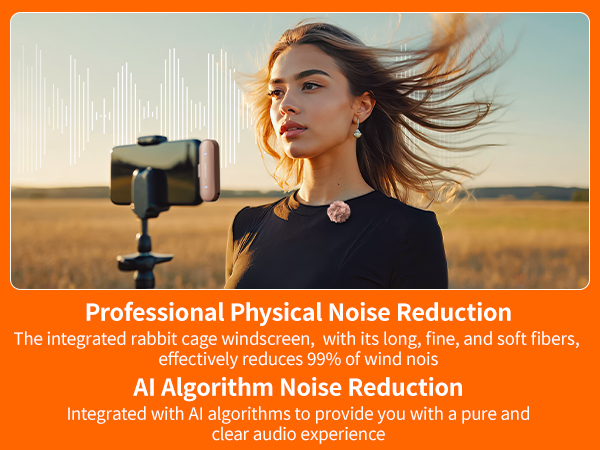 noise cancelling microphone