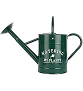 Garutom Galvanized Watering Can for Outdoor Indoor Plants, 1 Gallon Decorative Countryside Water ...