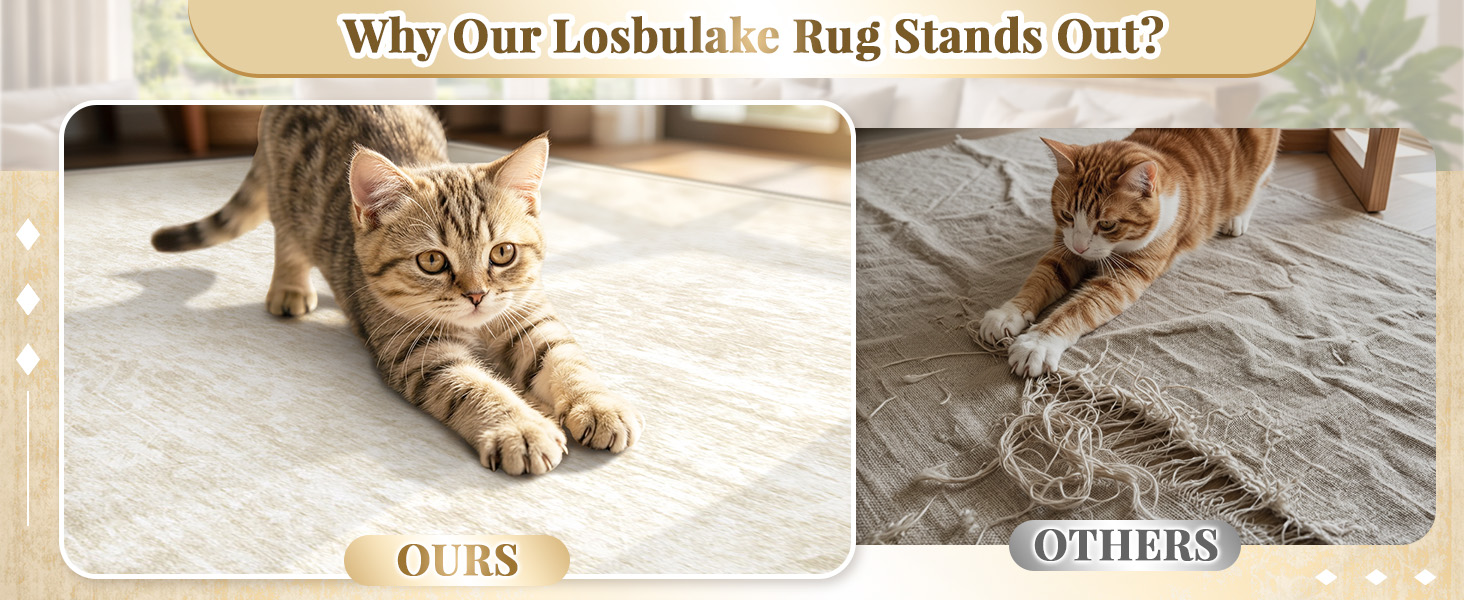 Why Our Losbulake Rug Stands Out?