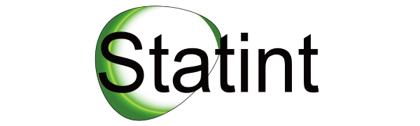 statint macaron silicone baking mats