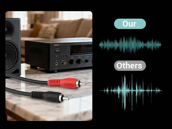 RCA to Speaker Wire Adapter