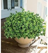 Artificial Fake Outdoor Plants for Spring Summer Decoration, 12 Bundles Fake Plastic Roses UV Res...
