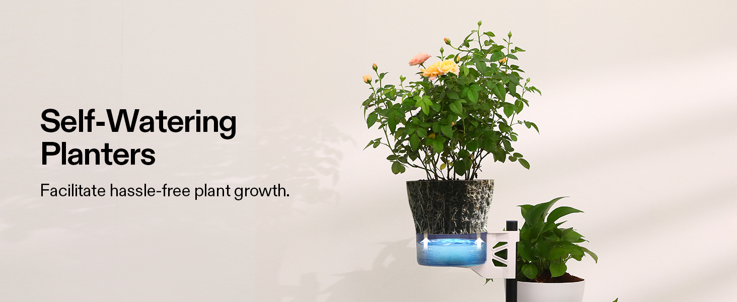 self-watering planters