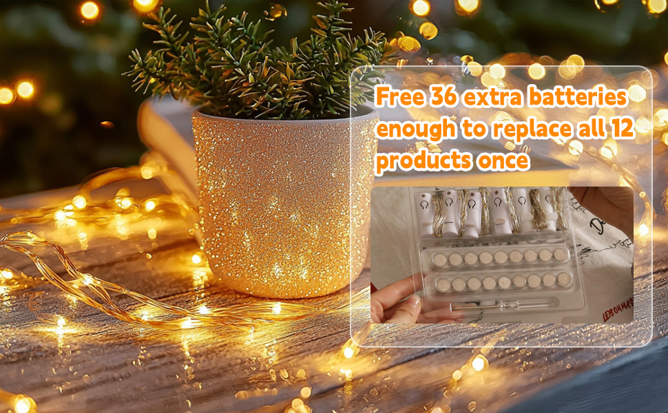 Fairy Lights 12P-3