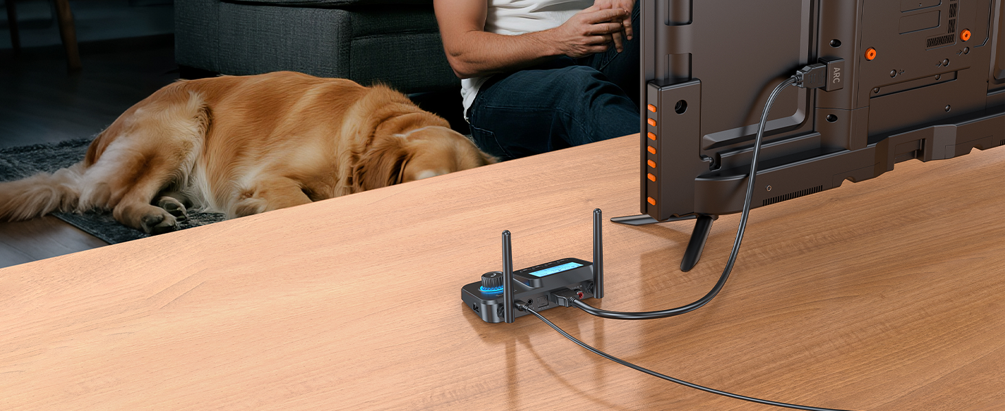 Bluetooth transmitter mode