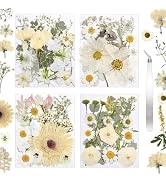 CONVELIFE Dried Flowers for Resin, Vacuum Packed DIY Pressed Flowers for Epoxy, Jewelry, Candles,...
