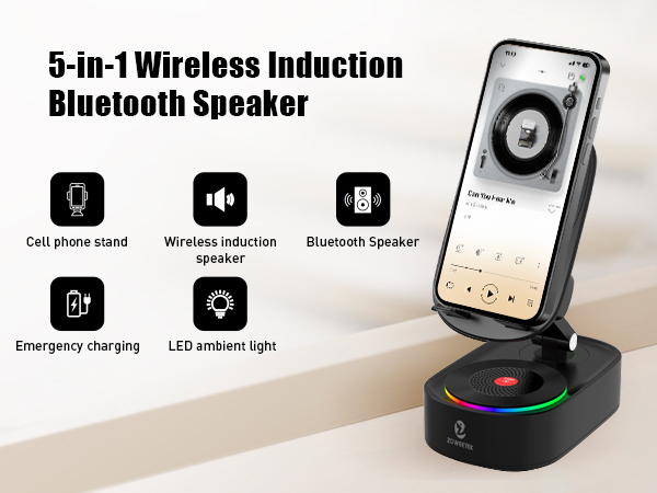 wireless induction speaker