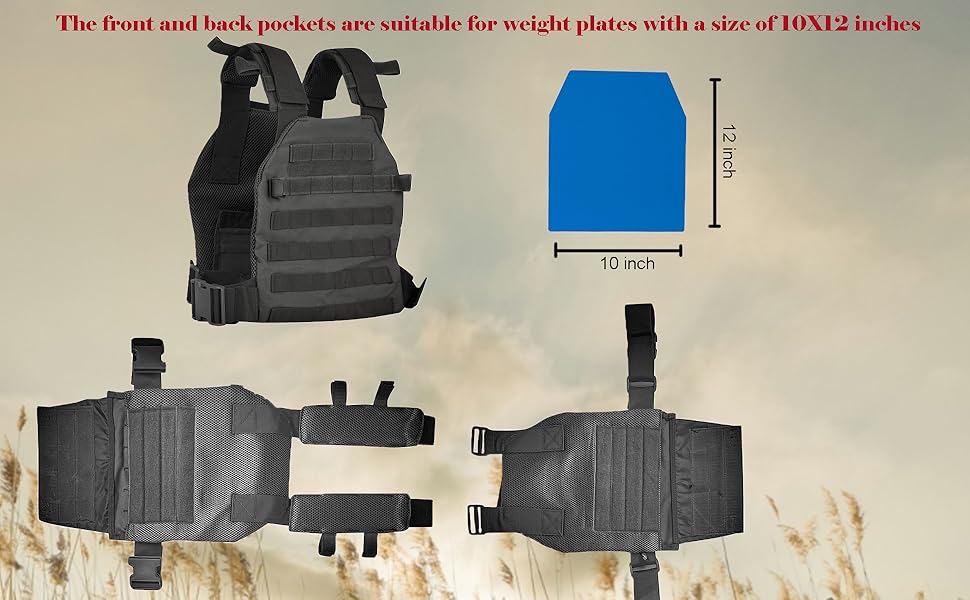 weight plates carrier